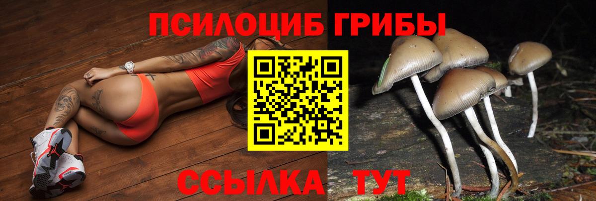 Псилоцибиновые грибы Psilocybe  Вход с VPN  Ишимбай 